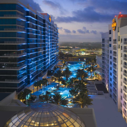 tampa bay​