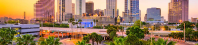 tampa limo service