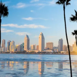 palm harbor limo service
