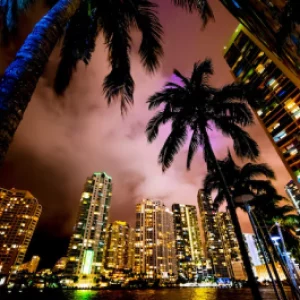 miami limo service
